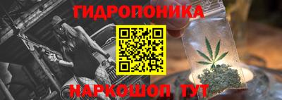 молекула духа Донецк