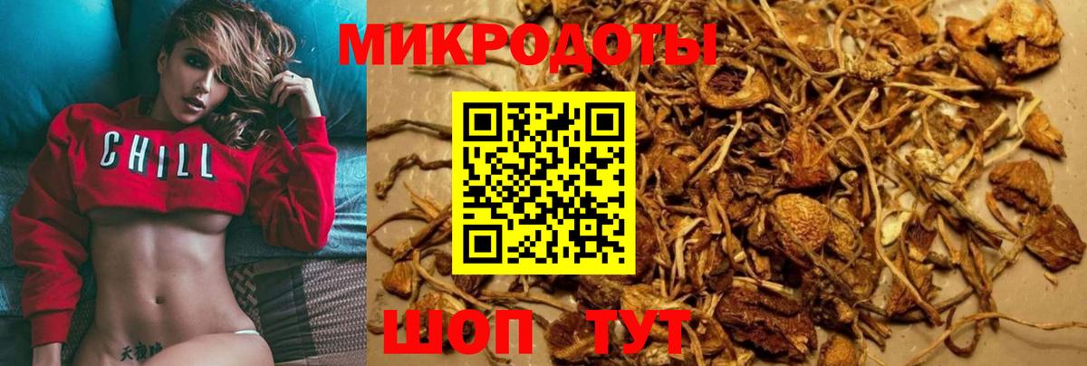 Галлюциногенные грибы мухоморы  Вход с VPN  Кулебаки 